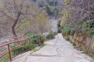 Oasi perfetta letizia