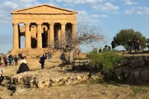 OHANA BED AND BREAKFAST