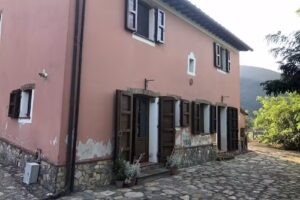 Olive House Tuscany, Zona-Pisa