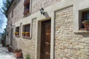 Ombra degli Ulivi B&B