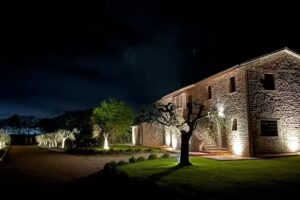 Opera Domini Asisium