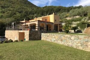 Ort holiday’s time