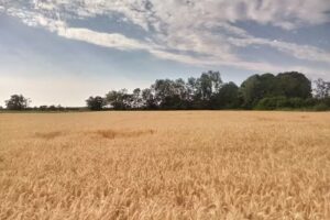 Ospitalitá rurale la Svizzera