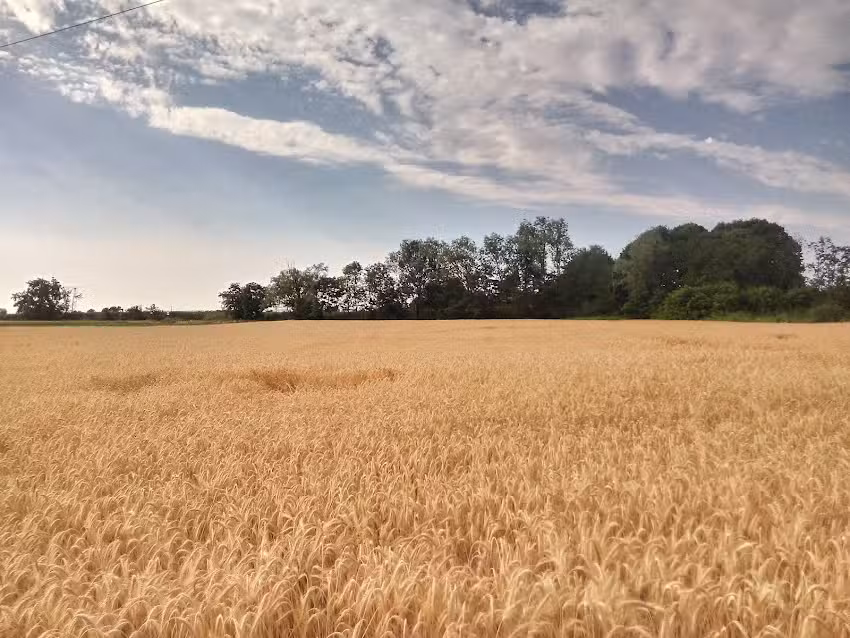 Ospitalitá rurale la Svizzera