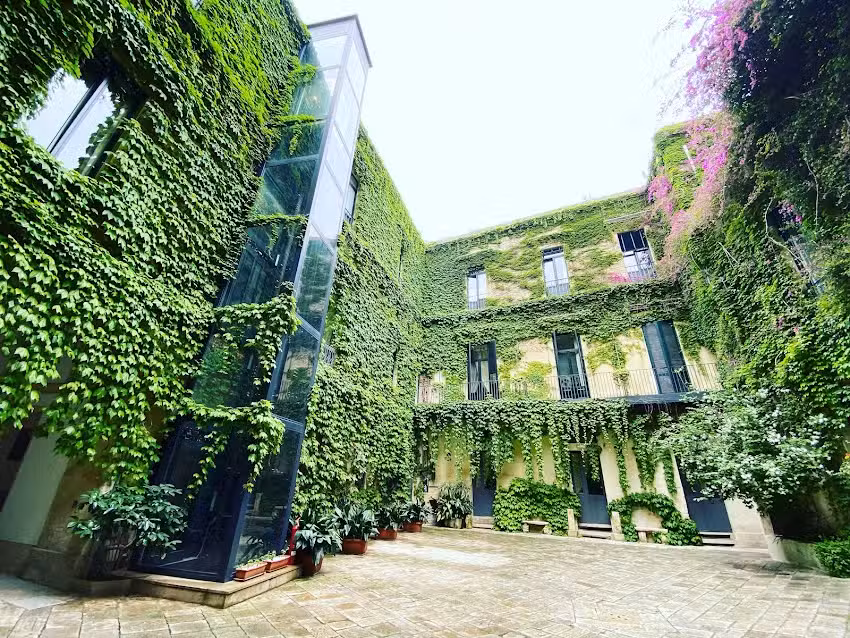 Palazzo Rollo B&B