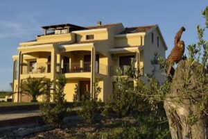 Palmas Dorada Home Olmedo-Alghero