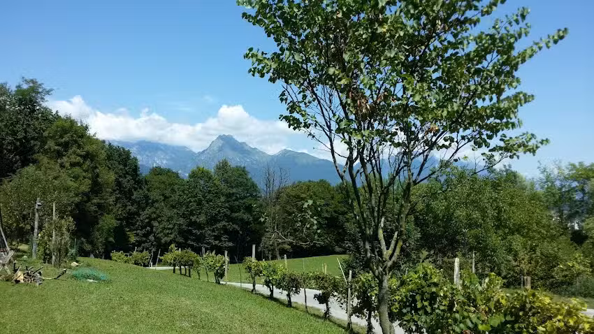 Panorama Feltre