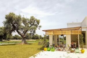 Pantaleo Agricoltura Srl