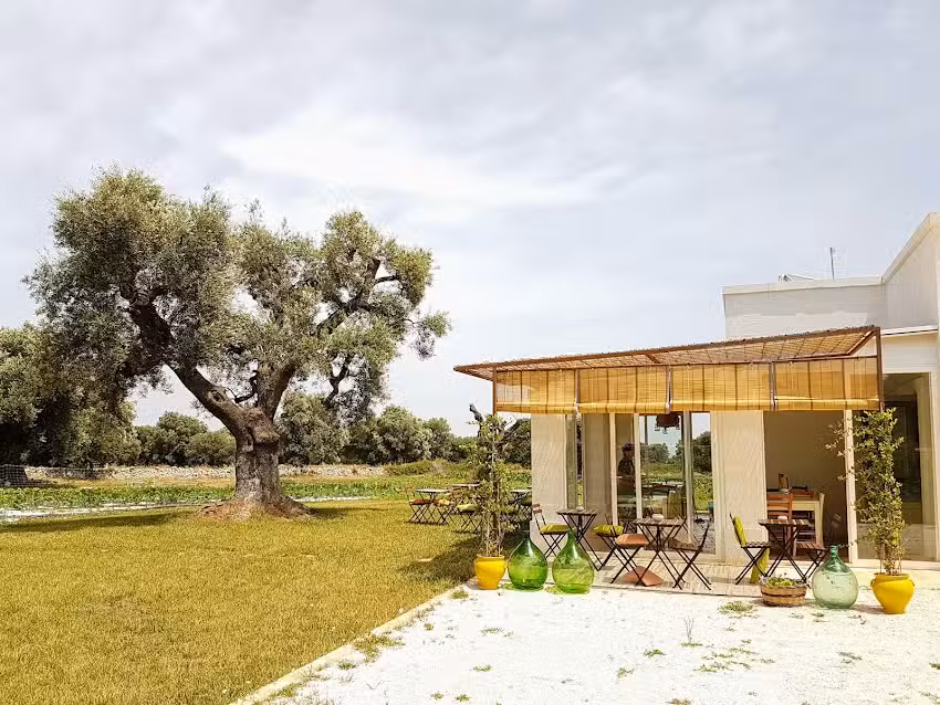 Pantaleo Agricoltura Srl