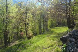 parco naturale maison 4