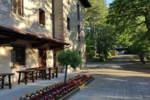 Pastor Angelicus – La Verna