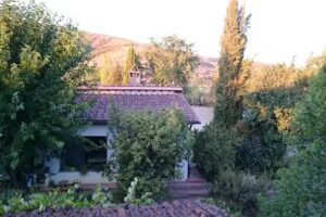 Paterna Società Agricola Cooperativa