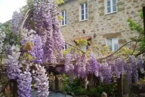 PedrAntiga B & B e Galleria d’Arte AMPHORA