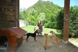 pensione cani e gatti