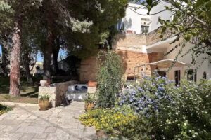 Petre e Sule B&B