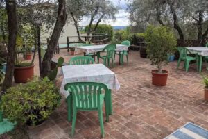 Picchio Della Tinaia