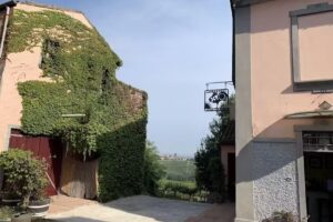 Piccolo Bacco Dei Quaroni di Tommaso Cavalli