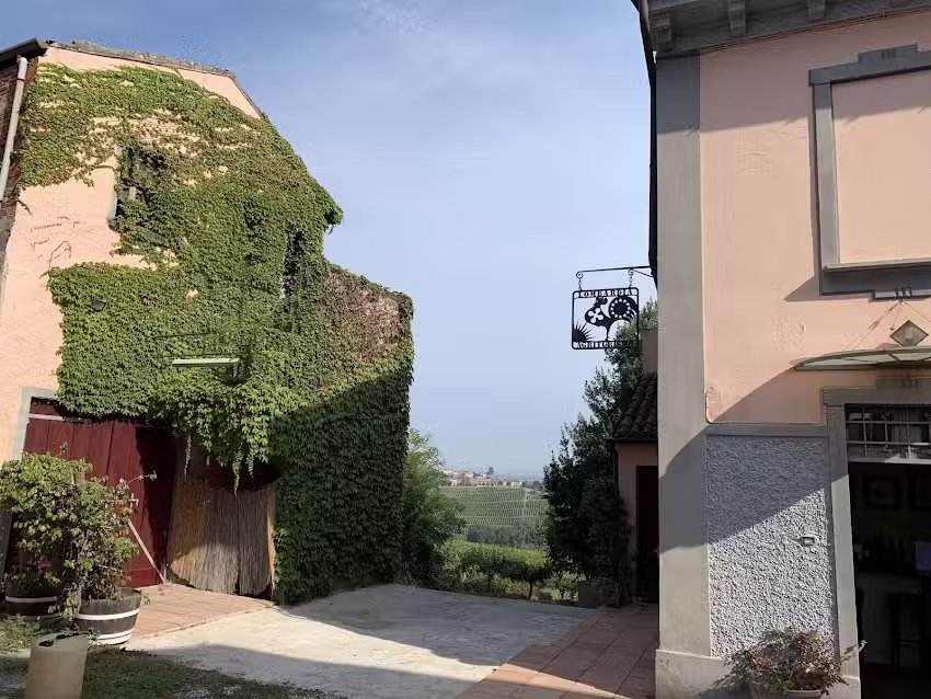 Piccolo Bacco Dei Quaroni di Tommaso Cavalli