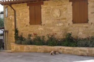 PIETRA MAULA AGRITURISMO