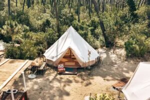 Pigna Felice Punta Ala