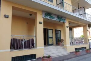 Pino Hotel