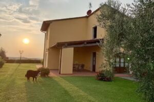 Podere Agriturismo Montevizzano