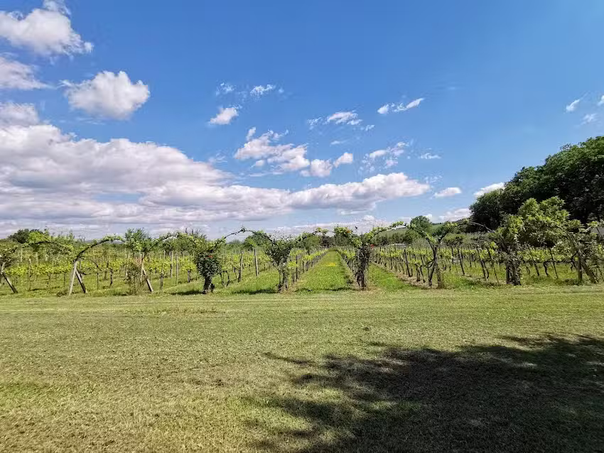 Podere I Chiostri di Furzi Luca