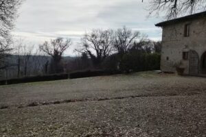 Podere Le Mortelle
