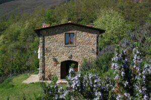 Podere Pian De’ Cortini