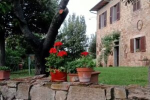 Podere Rigopesci casa in affitto