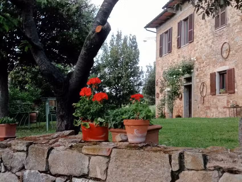 Podere Rigopesci casa in affitto