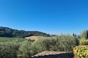 Poggio ai Monti – La Buca