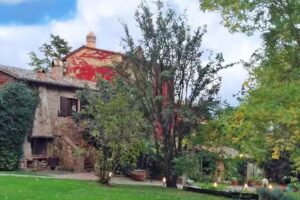 Poggio Etrusco di Sheldon Johns Pamela