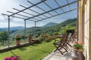 Porcigliano Olive Grove