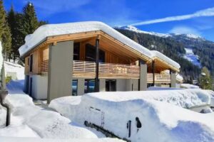 Povinelli & Partners