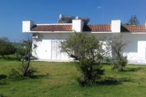 Punta Prosciutto Rooms