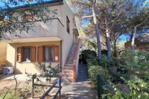 Purple House Arboriamar