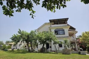 Quattro Olive Bed and Breakfast