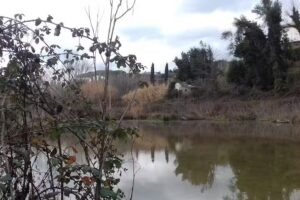 Regal Park Via Cassia