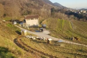 Reghét – Azienda Agricola Biologica