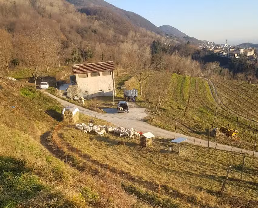 Reghét – Azienda Agricola Biologica