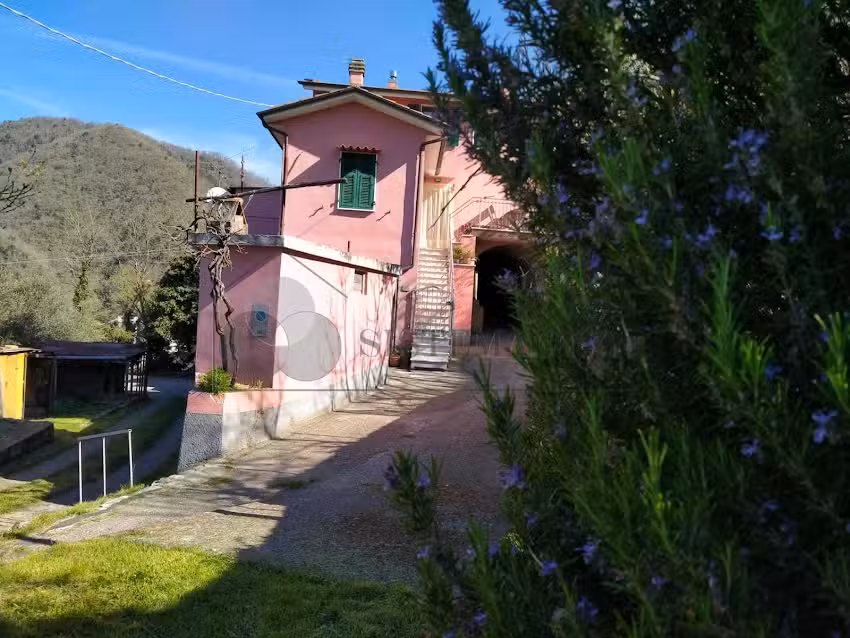 Regina Margherita affittacamere