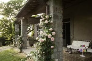 Relais di Villa Rossi Danielli