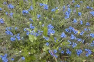 Residence Don Nicola