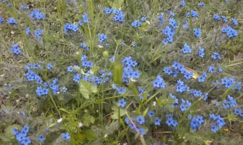 Residence Don Nicola