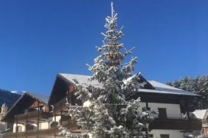 Residence Fior d’Alpe