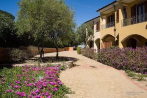 Residence l’Isola Surf House