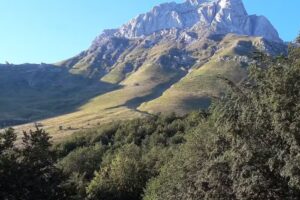 Residence Orso Bianco