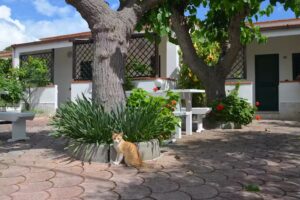 Residence Rendez Vous