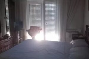 Residence tor tre teste